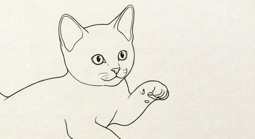 Kitten A line drawing of a kitten